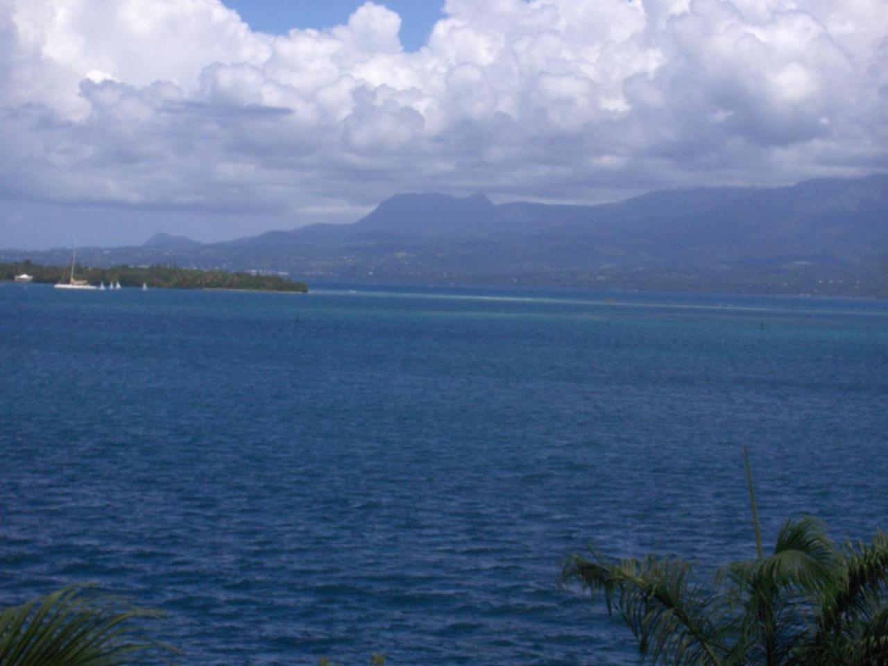 Hotel Saint John Perse Pointe-à-Pitre Kültér fotó
